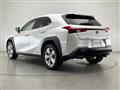 2019 Lexus UX