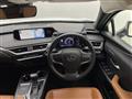 2019 Lexus UX