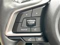 2019 Subaru Subaru Others