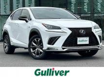 2020 Lexus NX