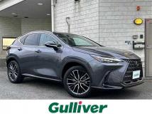 2023 Lexus NX