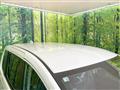 2026 Honda Freed