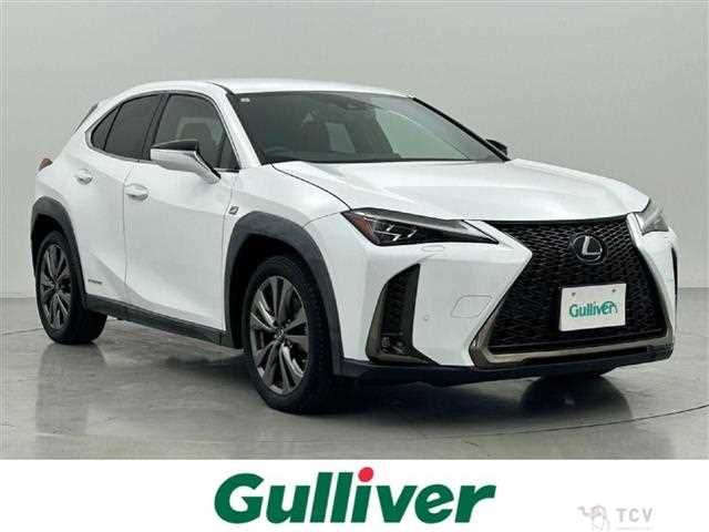2019 Lexus UX