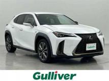 2019 Lexus UX