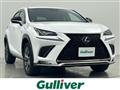 2018 Lexus NX