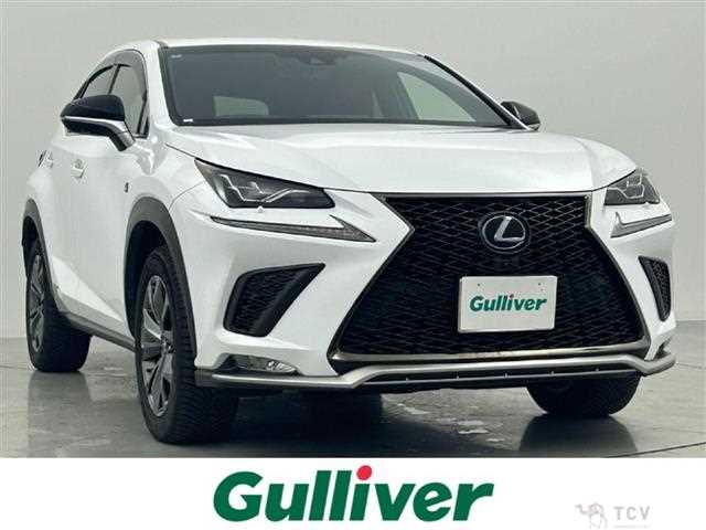 2018 Lexus NX