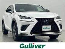2018 Lexus NX