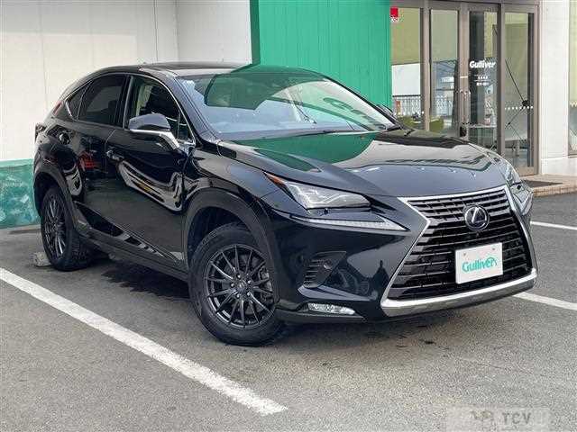 2020 Lexus NX