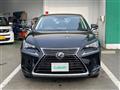 2020 Lexus NX