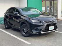 2020 Lexus NX