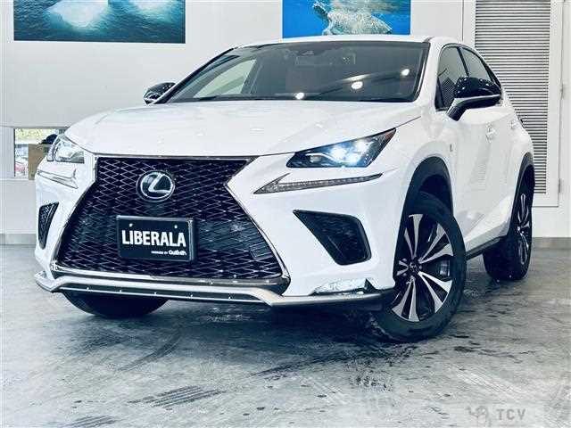 2018 Lexus NX
