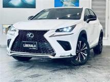 2018 Lexus NX