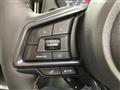 2025 Subaru Subaru Others