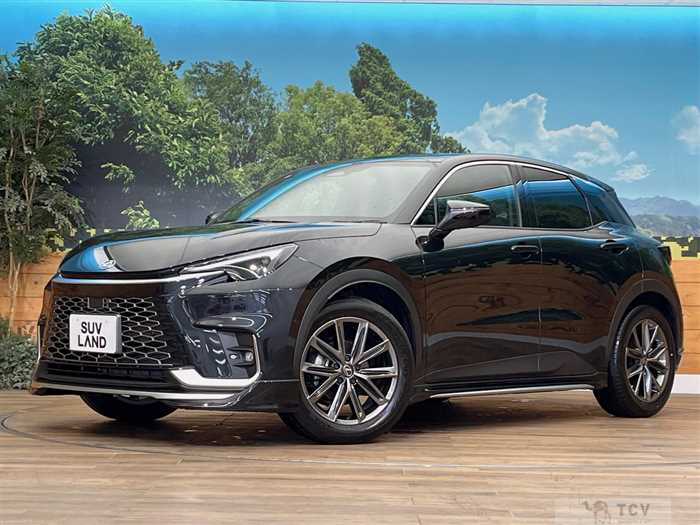 2025 Lexus Other