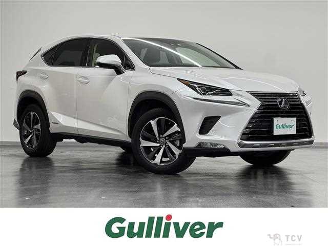 2018 Lexus NX