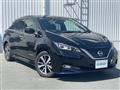 2020 Nissan Leaf