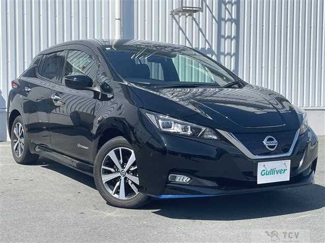 2020 Nissan Leaf