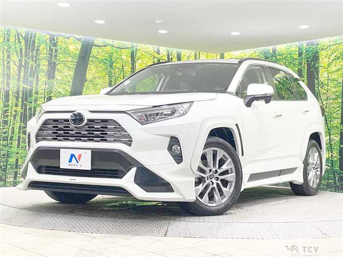 2019 Toyota RAV4