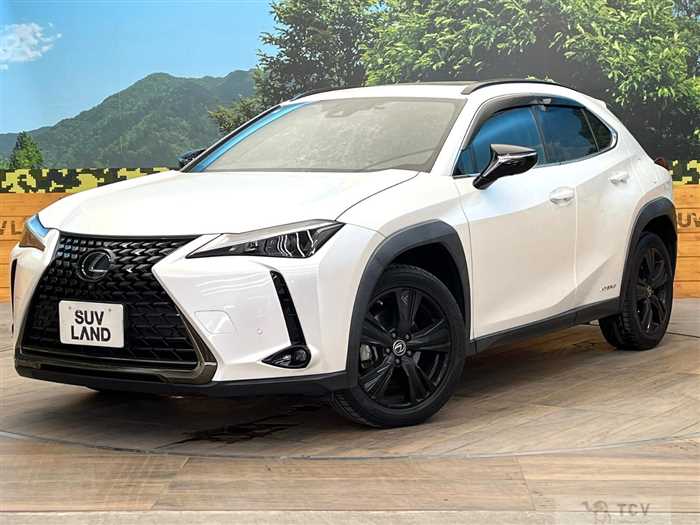 2021 Lexus Other