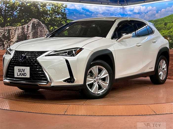 2021 Lexus Other