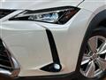 2021 Lexus Other