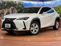 2021 Lexus Other