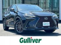 2022 Lexus NX