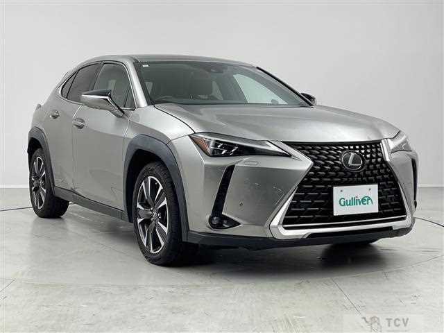 2019 Lexus UX