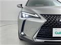 2019 Lexus UX