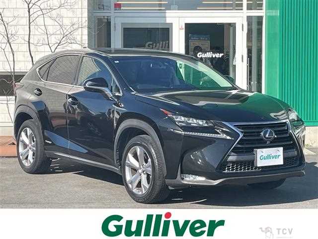 2015 Lexus NX