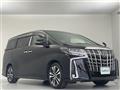 2019 Toyota Alphard