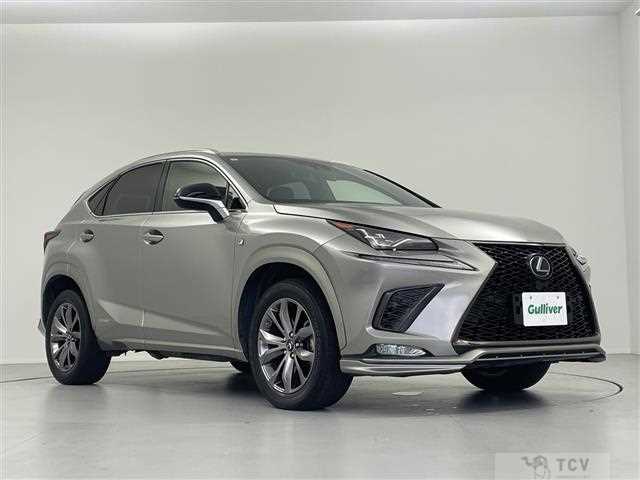 2019 Lexus NX