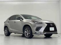 2019 Lexus NX