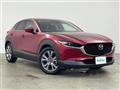 2019 Mazda CX-3
