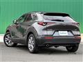 2022 Mazda CX-3