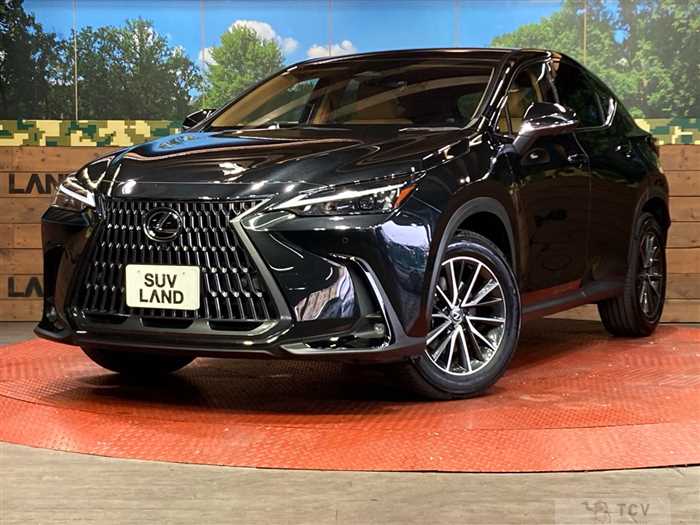 2024 Lexus NX