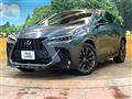 2021 Lexus NX