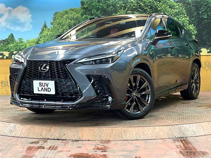 2021 Lexus NX
