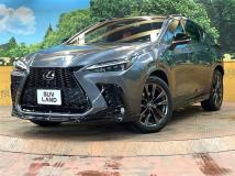 2021 Lexus NX
