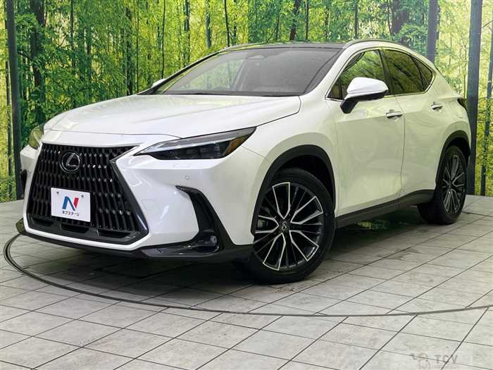 2023 Lexus NX