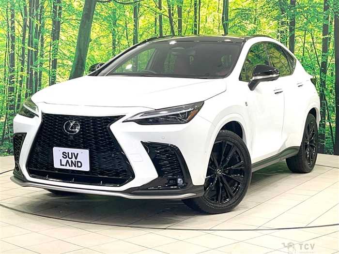 2023 Lexus NX