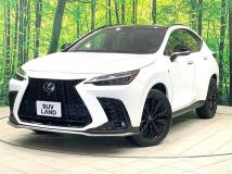 2023 Lexus NX