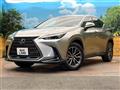2025 Lexus NX