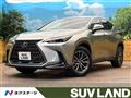 2025 Lexus NX