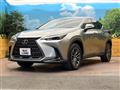 2025 Lexus NX