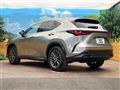 2025 Lexus NX