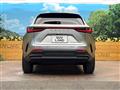 2025 Lexus NX