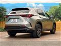 2025 Lexus NX