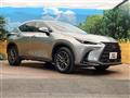 2025 Lexus NX