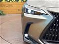 2025 Lexus NX
